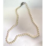 A single pearl necklace with white metal clasp