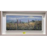 Julian Mason:  "Wild Flowers, Trevelyan.", oil on canvas, signed, 20 x 50cm, framed