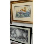 ANNE CAMPBELL -pencil sketch of a boar, signed, 40 x 58cm and a watercolour of warthogs by Gillian