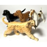 4 Beswick dogs, Black Labrador, "Solomon of Wendover", Afghan hound, wire haired terrier "Talavera