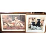 A selection of framed and glazed signed and some limited edition prints of various breeds of dogs,