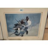 C F Tunnicliffe:  Mallards, pair of artist signed limited edition prints, framed and glazed