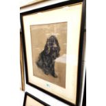 S Lings, British 20th Century:  a conté crayon drawing of a cocker spaniel, signed, 50 x 37cm,