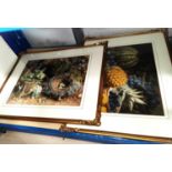 A pair of chromolithographs, still life of birds nest and basket with fruit, framed and glazed