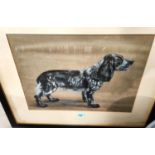 S Lings, British 20th Century:  a conté crayon drawing of a springer spaniel, signed, 37 x 48cm,