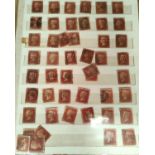 A collection of penny red stamps on 2 sheets