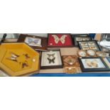 A selection of mounted butterflies and moths and a selection of butterfly cigarette cards