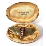 An early/mid 20th century bakelite brooch in the form of a cicada, in egg box