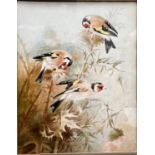 Donald Birbeck: (Royal Worcester artist): watercolour three finches on branch, singed en verso,