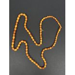 A string of slightly graduating amber beads, length 98cm, largest bead 1.2cm, 32.7gm