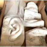 4 plaster plaques, ear, eyes and mouth of Michelangelo's "David", 1950's from Manchester Art Dept, 5