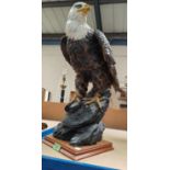 A collection of items relating to Birds of Prey/Falconry including a large resin figure of an eagle;