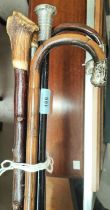 Three silver mounted walking sticks & two antler handle walking sticks.