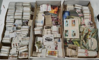 A large selection of cigarette cards:  Black Cat, Will's; various series; etc.