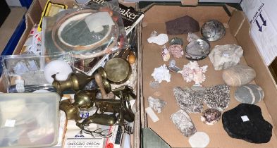 A selection of various shells, rocks and minerals; sewing items and small brass items