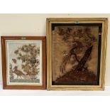 Two Georgian silk embroidered pictures of peafowl or pheasant, the maple framed example. 16' x