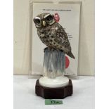An Albany China Little Owl, modelled by David Burnham Smith. Boxed with certificate. 7½' high