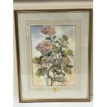 EILEEN CRAWFORD; S.W.A; BRITISH Bn. 1916 Hydrangea. Signed. Inscribed verso. Watercolour 16½' x