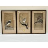 CHINESE SCHOOL Three bird studies. Signed. Watercolour 13½' x 7'