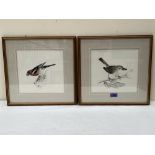 L. FISHER. BRITISH 20TH CENTURY Studies of birds. A pair. Signed and dated '87. Pencil and