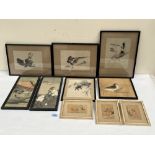 A collection of ten oriental watercolours and prints, mostly ornothological