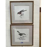 L. FISHER. BRITISH 20TH CENTURY Studies of birds. A pair. Signed and dated '87. Pencil and