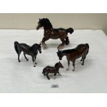 Beswick. A shire horse, 10' long; a shire foal and two other horses (4)