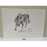 MANNER OF JOHN KYFFIN WILLIAMS. BRITISH 1918-2006 Study of a horse. Bears initials. Pencil and wash.