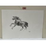 MANNER OF JOHN KYFFIN WILLIAMS. BRITISH 1918-2006 Study of a horse. Bears initials. Pencil and