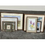 A collection of watercolour drawings, framed.