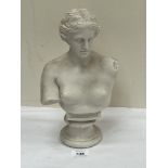 A parian bust of the Venus De Milo. 12" high.