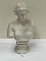 A parian bust of the Venus De Milo. 12" high.