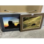 A collection of 16 mounted large plate photographs and prints by Dr. Brian Most FRPS.