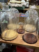 Five glass domes on wood stands.