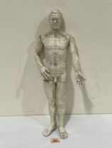 An acupuncture meridian mapping human model. 19" high. Repair to foot