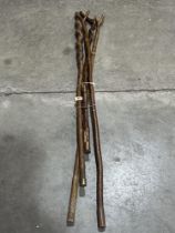 Four walking sticks.