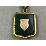 VICTORIAN AGATE SET GOLD PLATED PENDANT ALONG WITH OTHER JEWELLERY