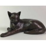 D.J. SCALDWELL, BRONZED CAT