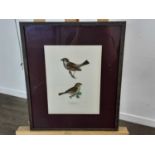 TWO LITHOGRAPHS OF BIRDS