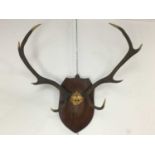 MOUNTED STAG ANTLERS, AND TWO OTHERS