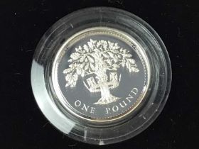 GROUP OF AILVER PROOF COIN AND COIN SETS,