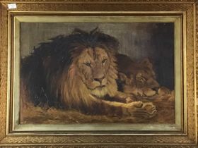 A S WILKINSON (SCOTTISH 19TH/20TH CENTURY), TWO LIONS