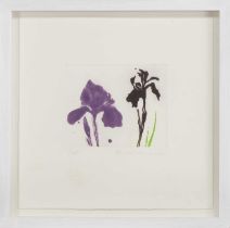 *DAME ELIZABETH VIOLET BLACKADDER (SCOTTISH, 1931-2021), STUDY OF TWO IRISES