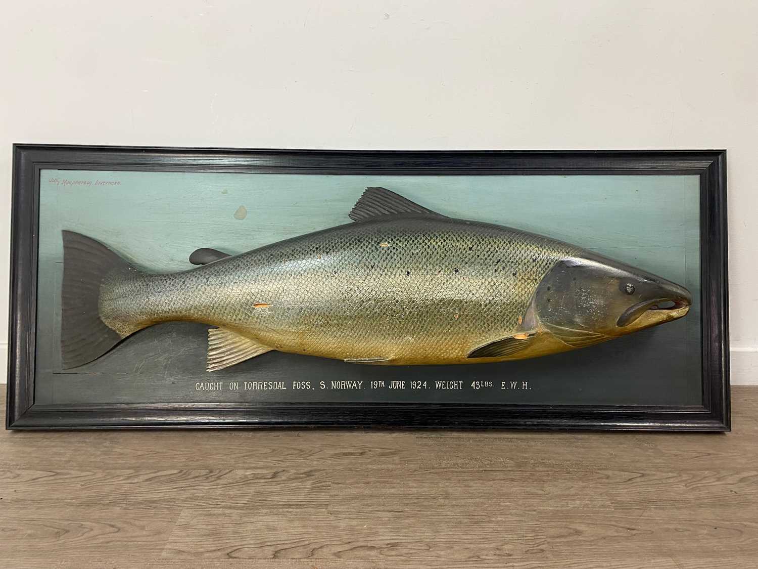 AN EARLY 20TH CENTURY FOLK ART CARVED AND PAINTED WOOD MODEL OF AN ATLANTIC SALMON