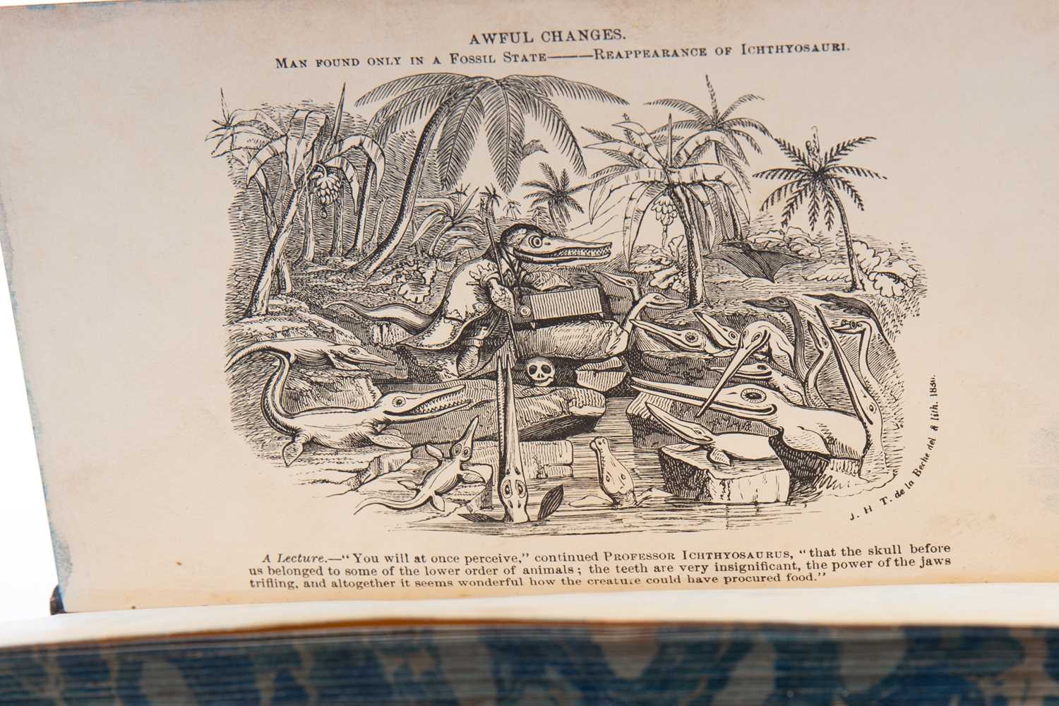 BUCKLAND'S CURIOSITIES OF NATURAL HISTORY, ALONG WITH A COPY OF COOK'S VOYAGES - Image 2 of 3