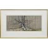 * DONALD SHANNON (SCOTTISH exh 1952 - 1964), TREE AT WINTER