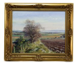 * DONALD M SHEARER (SCOTTISH 1925 - 2017) LOOKING OVER CROMARTY FIRTH