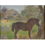 Mary Beresford Williams (1931 - ) - Horses in a Landscape, monogrammed, oil, 27 x 34.5cm Good