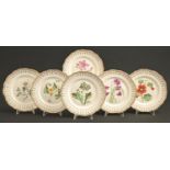 A set of six Staffordshire bona china botanical dessert plates, c1850, painted with an auricula,