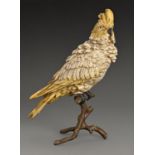 A cold painted Vienna bronze sculpture of a sulphur-crested cockatoo, Bergman Foundry, early 20th c,
